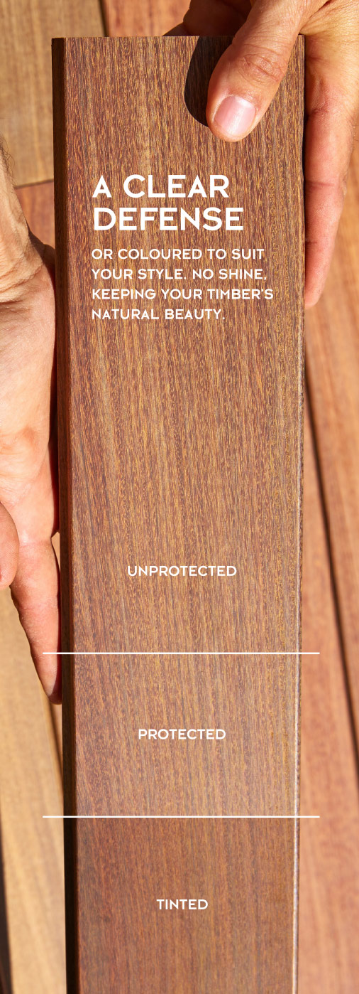 unprotected-protected-tinted-text-MOBILE